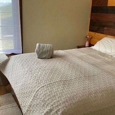 Cabanas Las Terrazas De Iculpe Población Población Lago Ranco エクステリア 写真